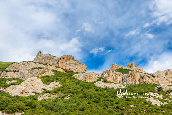 大象成视人3秒跳转视频