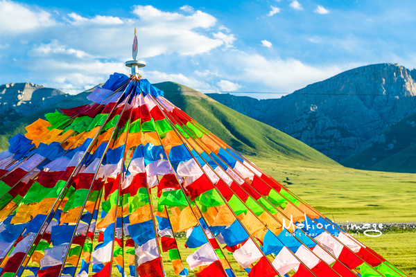 大象成视人3秒跳转视频