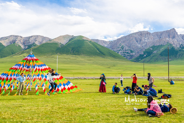 大象成视人3秒跳转视频