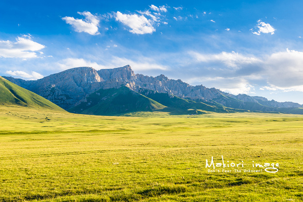 大象成视人3秒跳转视频