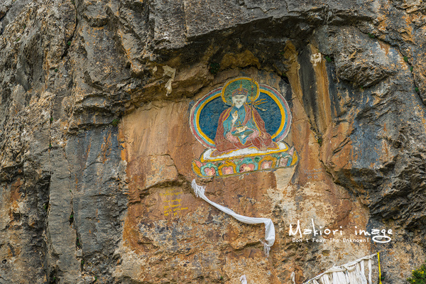 大象成视人3秒跳转视频