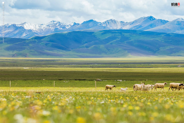 大象成视人3秒跳转视频