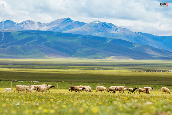 大象成视人3秒跳转视频