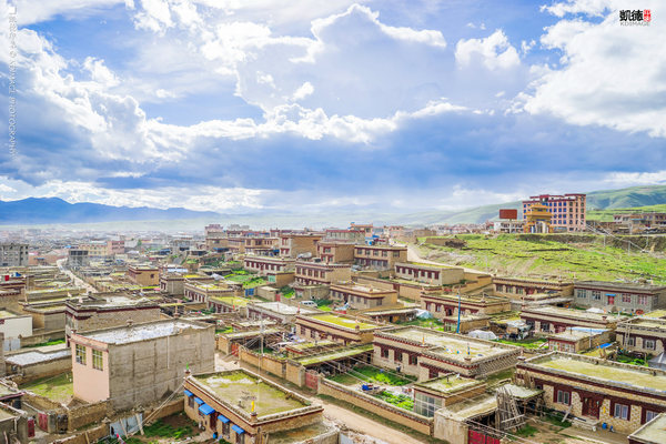 大象成视人3秒跳转视频