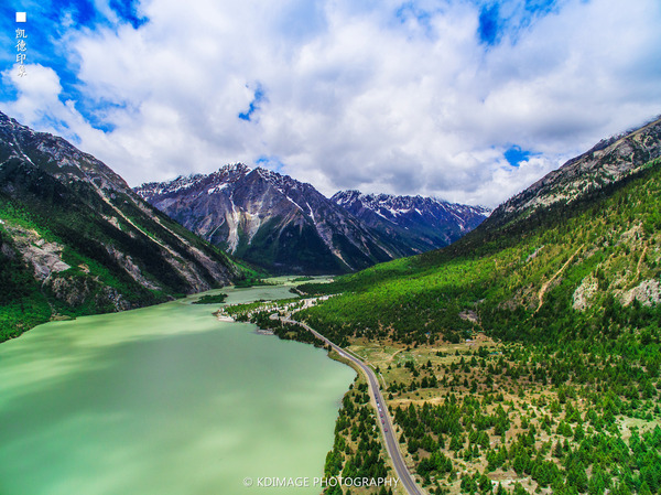 大象成视人3秒跳转视频