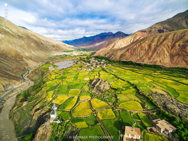 大象成视人3秒跳转视频