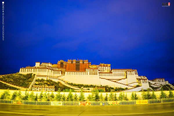 大象成视人3秒跳转视频