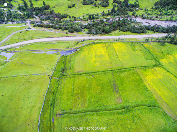 大象成视人3秒跳转视频