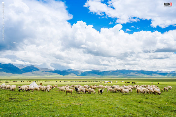 大象成视人3秒跳转视频