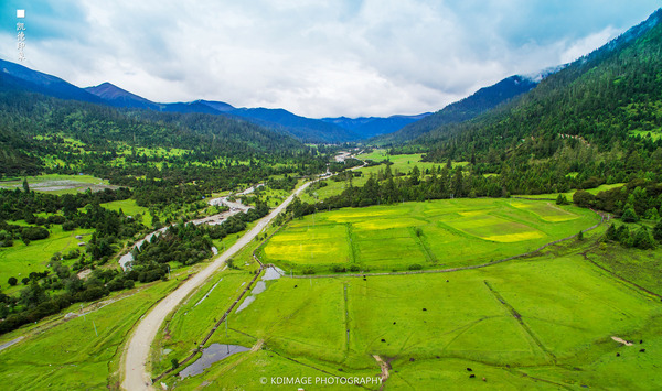 大象成视人3秒跳转视频
