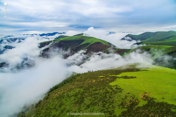 大象成视人3秒跳转视频