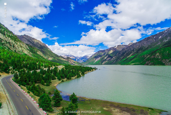 大象成视人3秒跳转视频