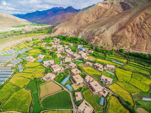 大象成视人3秒跳转视频