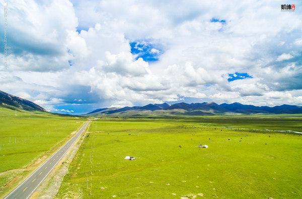 大象成视人3秒跳转视频