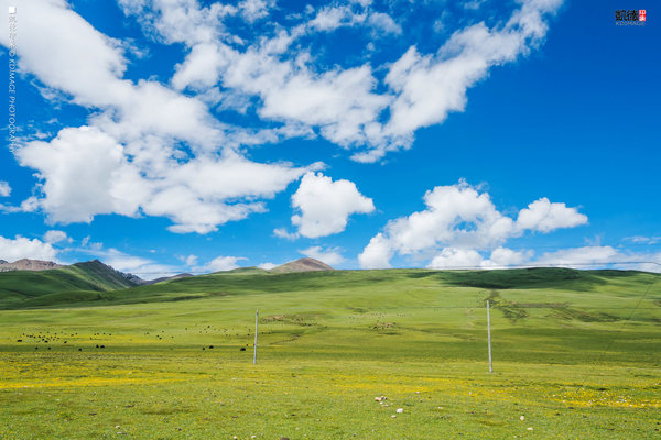 大象成视人3秒跳转视频
