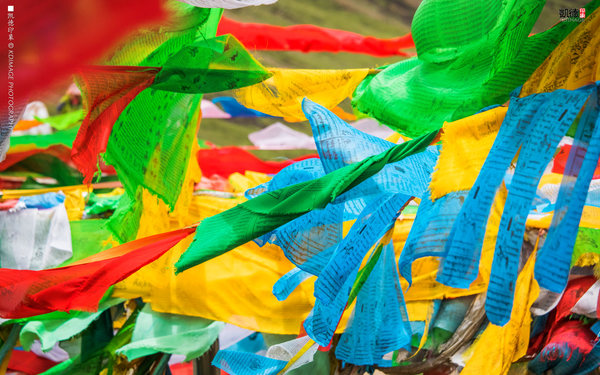 大象成视人3秒跳转视频