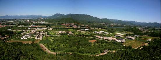 大象成视人3秒跳转视频